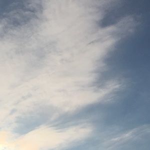 Meet your Posher, Jocelyn